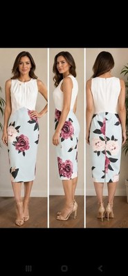 Ted Baker LONDON Anille Magnificent Dress