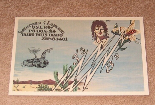 Idaho Falls ID Idaho Postcard CB Radio Call Name Sidewinder Ladybug 1960's 70's