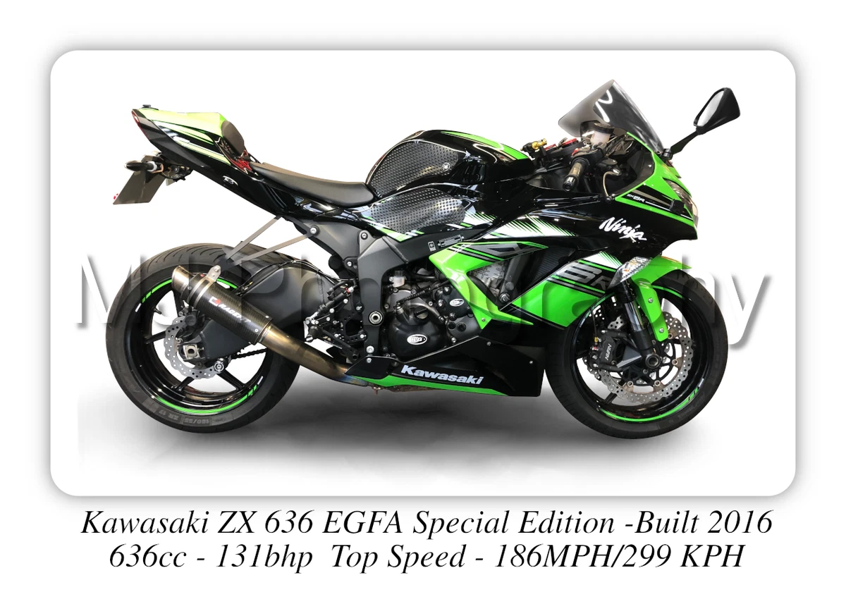 Kawasaki ZX636 EGFA SE A3 Size Print Poster on Photographic