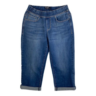 Earl Womens Skimmer Jeans Sz 6 Blue 