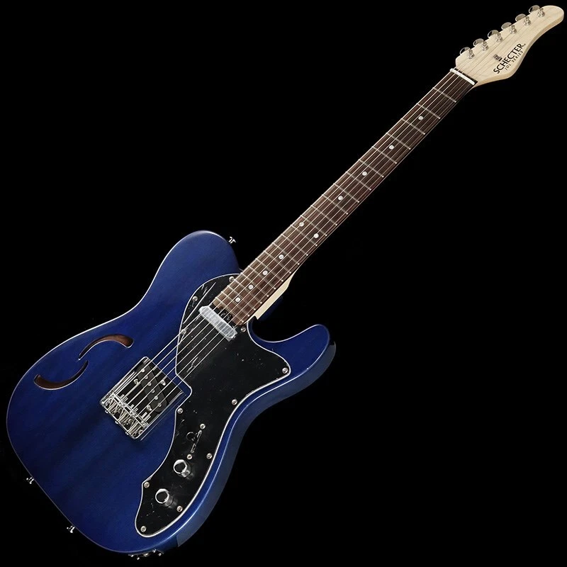 Schecter shop guitar bag
