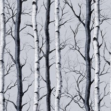 Monochrome Birch Tree Wallpaper Modern Forest Peel and Stick Wallpaper, Sel...
