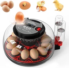 Incubators for Hatching Eggs,12 Egg Automatic Egg Turner with Temperature Humidi