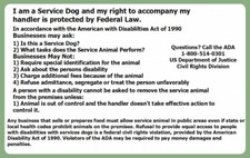 2 SERVICE DOG ID CARD BADGE ADA ESA LAW INFO RIGHTS HARD PLASTIC ACCESS