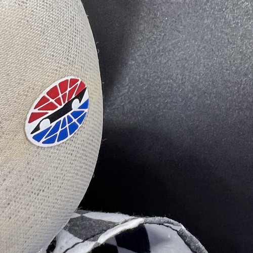 Aurora NASCAR Charlotte Motor Speedway mascotte dado mantello lucido vintage 12" - Foto 4 di 14