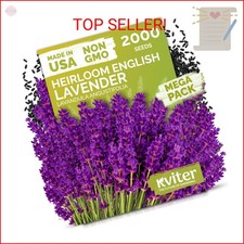 KVITER 2000 English Lavender Seeds for Planting Outdoor  Indoor Lavandula angu