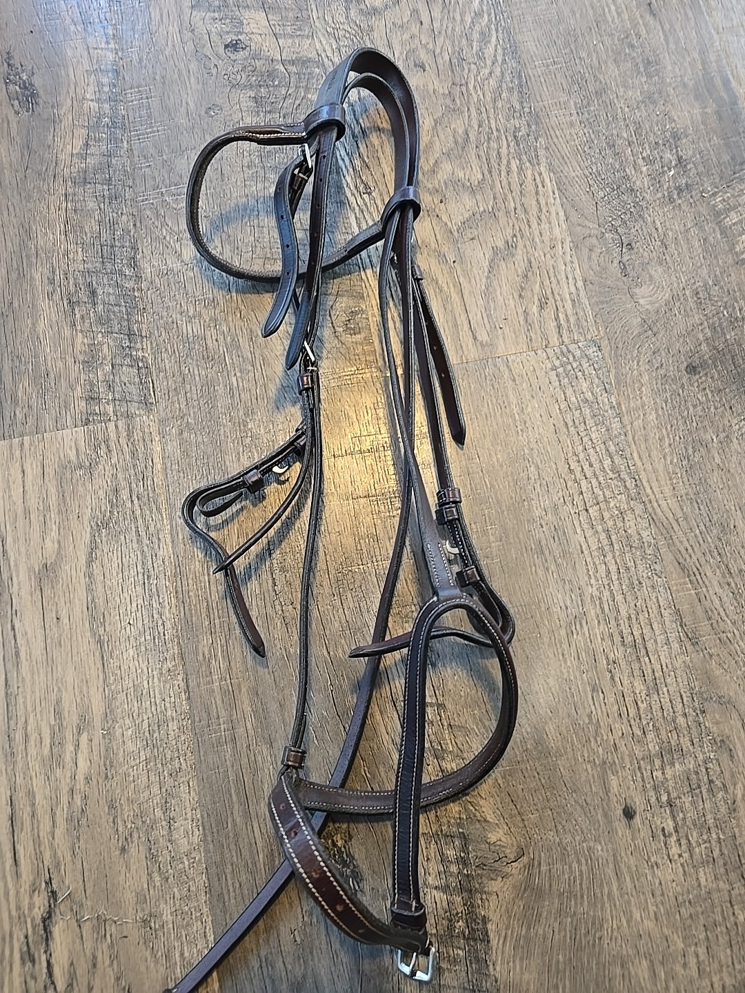 fancy stitched bridle