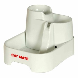 cat mate water