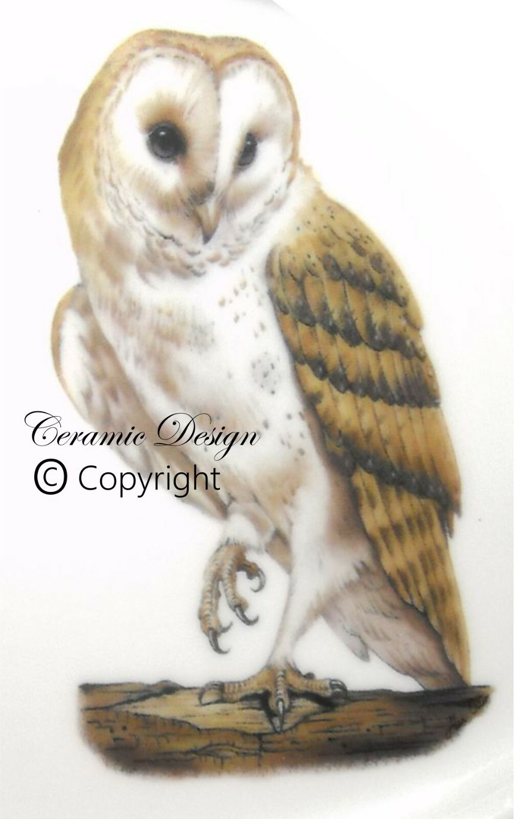 4X OWL KINGFISHER WOODPECKER 75mm WATER SLIDE CERAMIC DECALS POTTERY