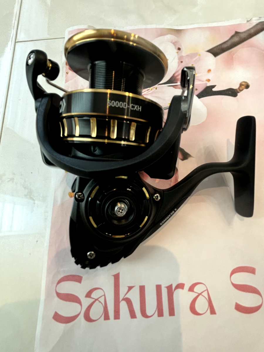 Daiwa 23 BG SW 5000D-CXH Spinning Reel Free Shipping Japan New | eBay