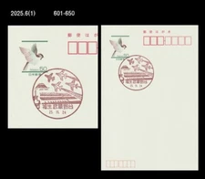 Aviation,Airforce,Aircraft,Air Show,Japan Postmark,Postal Card,PSC