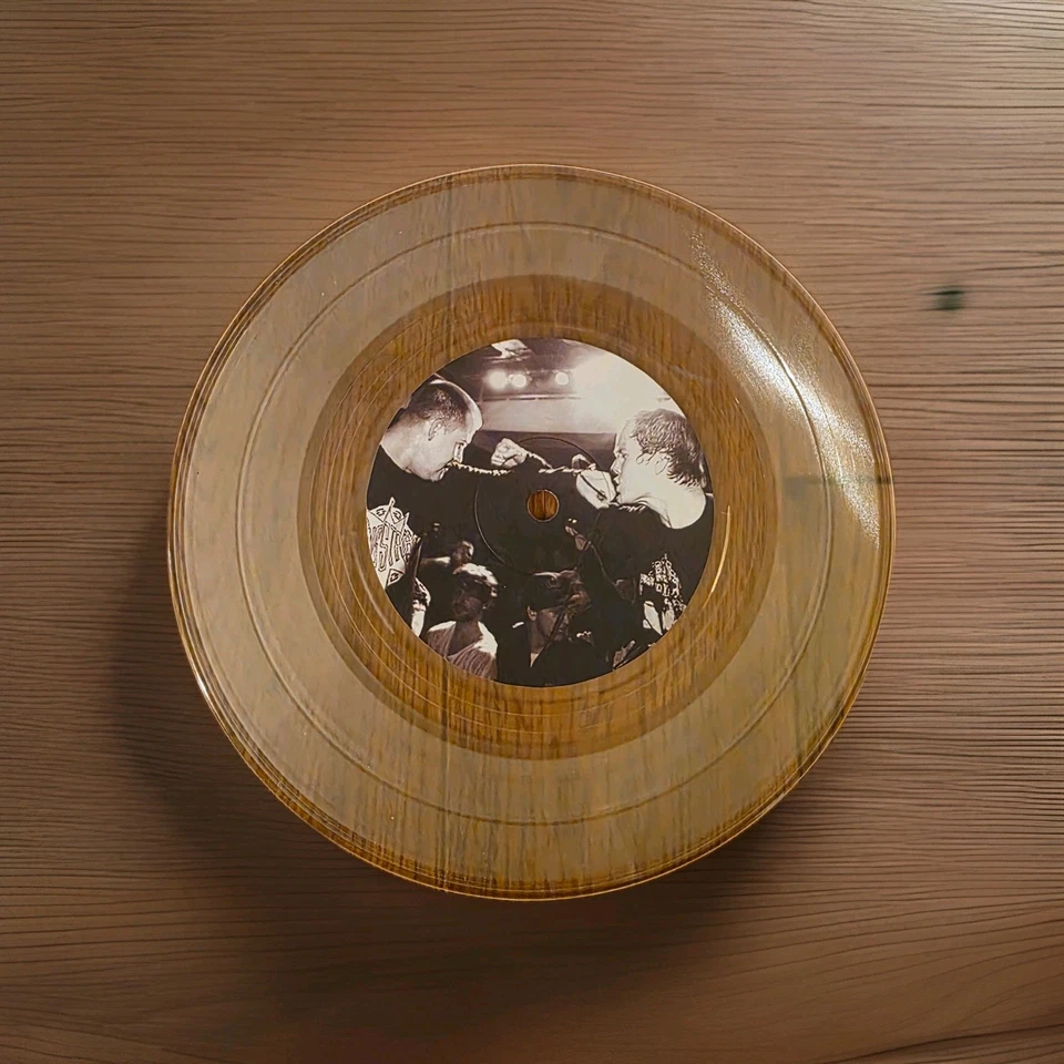 Terror – The Rise of the Poisoned Youth: Blood Tracks демо 7 дюймов прозрачный винил RR20 - Изображение 4 из 4