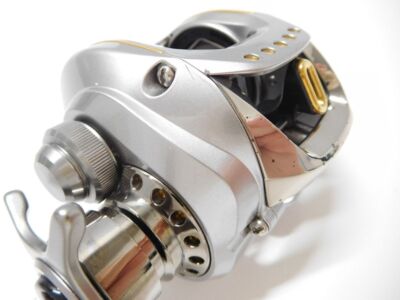 Daiwa TD Zillion 100H body Bait Reel Fishing /AT5082/02 | eBay
