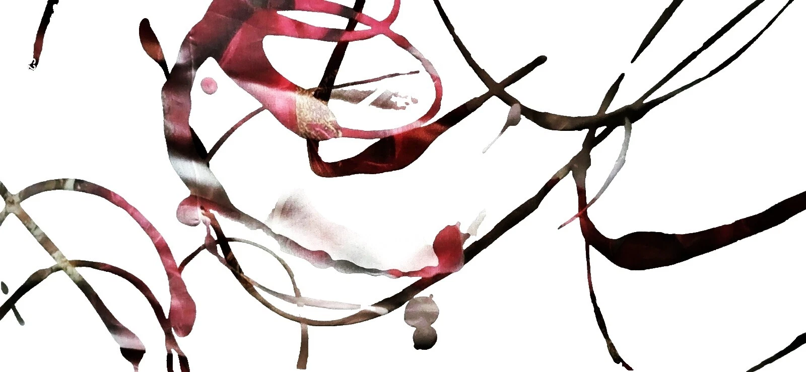 Géneros artesanales bordado transparente