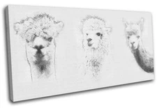 Llama Alpaca Drawing Simple Animals SINGLE CANVAS WALL ART Picture Print