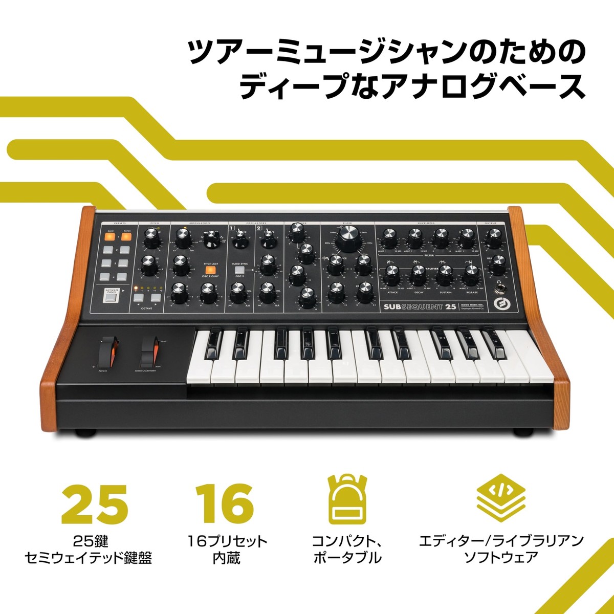 MOOG Subsequent 25 Paraphonic Analog Synthesizer and MIDI Keyboard