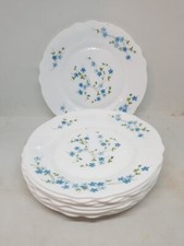 ARCOPAL FRANCE PIATTI DESSERT FRUTTA VERONICA MYOSOTIS FIORI BLU cm. 19