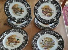 6 ROYAL WORCESTER PALISSY WILDVÖGEL SPEISETE...