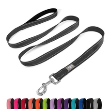 6 FT Nylon Reflective Dog Leash with Padded Handle for Small Dogs Black