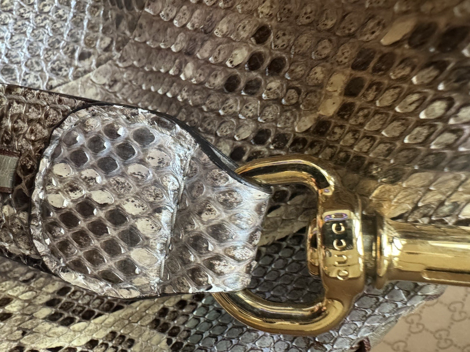 GUCCI Jackie Bag Python leather Hobo  Large Bag B… - image 9