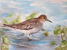 Spotted Sandpiper Bird -Original Watercolor Painting -  Art by Liz Altin