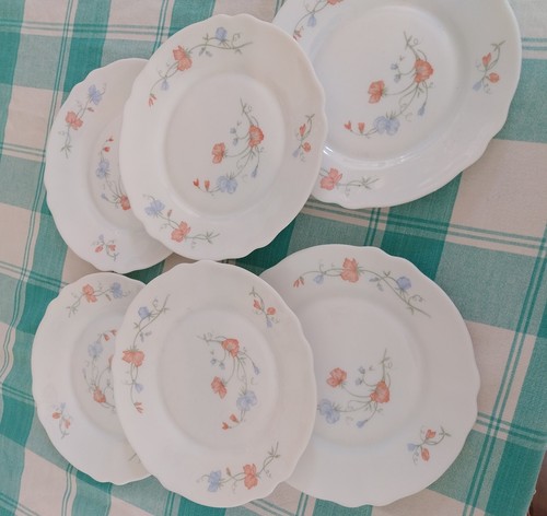 Lot De 6 Assiettes à Dessert Arcopal - Opaline Fleurs Narcisse - Cristal D'Arques 23cm