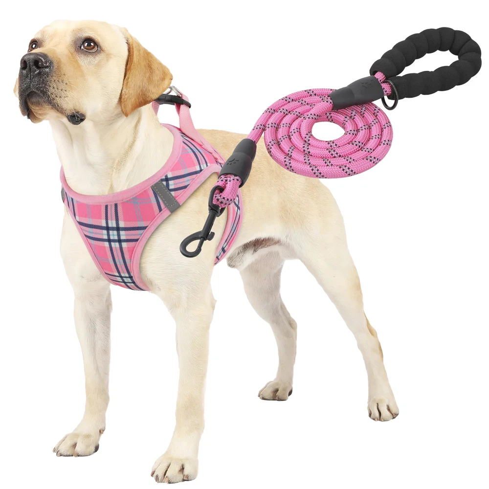 Dog Harness Breathable Mesh Adjustable Control Reflective Vest & Leash Set Pink