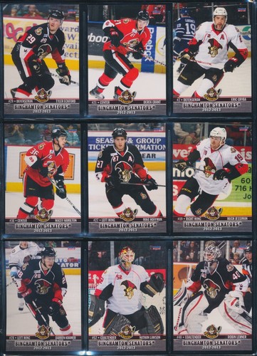 2006-07 to 2015-16 Choice Binghamton Senators AHL Team Set Single Cards - U PICK - Picture 85 of 194