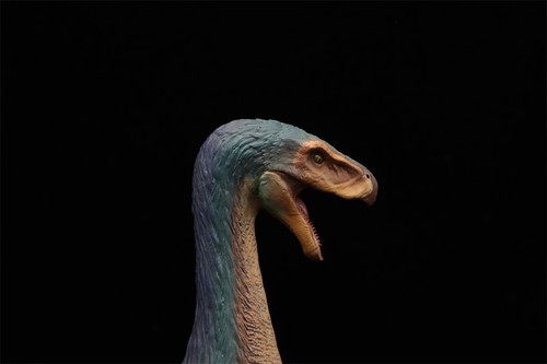 Nanmu Therizinosaurus Garra Pico Figura Dinosaurio Animal Modelo Regalo Juguetes - Imagen 17 de 24
