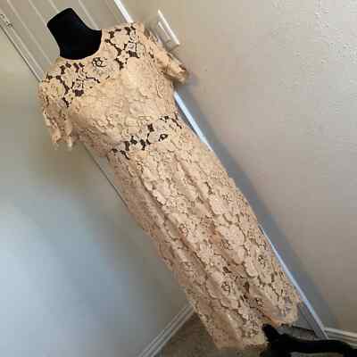 Lace Short Sleeve Sheath Midi Dress NSR | eBay