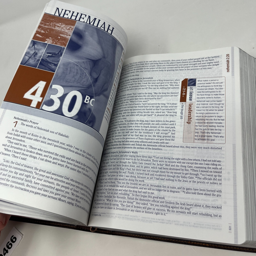 Strive: The Bible for Men TNIV by Zondervan - Imitation Leather - 2005 - Bild 15 von 17