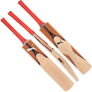 puma evospeed 1 cricket bat