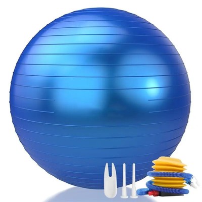Yoga Pilates Ball Anti Slip Heavy Duty Gym Ball for Fitness Balance Core Workout