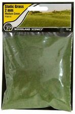 Woodland Scenics  New 2024  Static Grass  Medium Green  2mm  FS614
