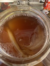Kombucha 1/2 Cup Tea Makes 1/2 Gallon 