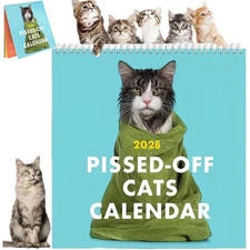 2026 Pissed-Off Cats Calendar / Funny Cat Wall Calendar AN