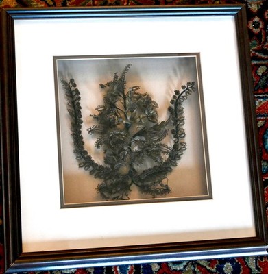 1865 VICTORIAN HAIR LYRE ~ ANTIQUE FOLK ART ~ XL SHADOW BOX FRAME w PROVENANCE
