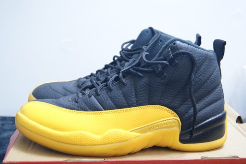 Nike Air Jordan 12 Retro University 