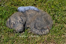 Solid Concrete Hand Painted Angel Dog Memorial Garden Statue
