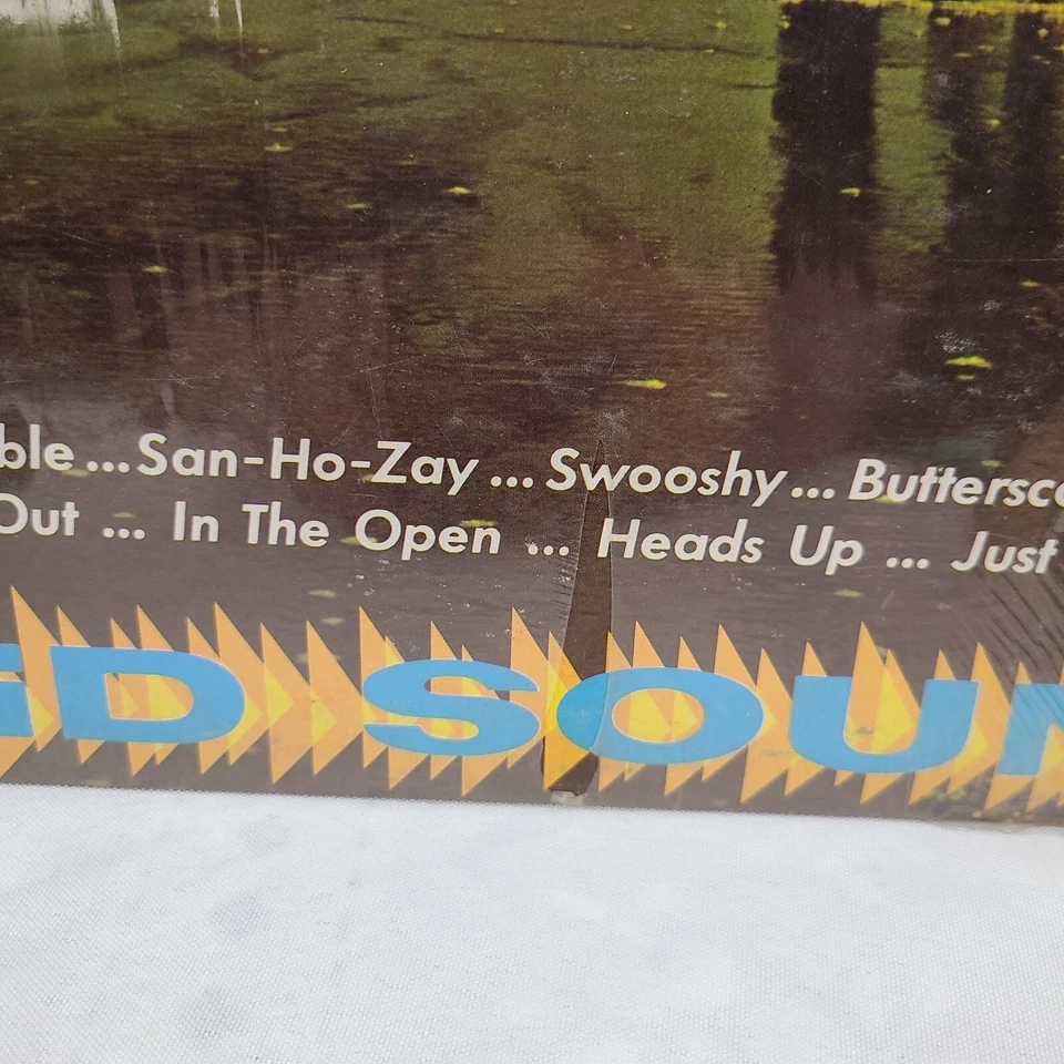 Freddy King Goes Surfin LP King 1963 VG Vinyl Promo Shink Stereo 1st Press #X16 Foto 3 de 4