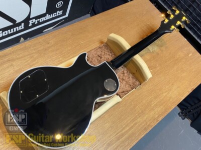 EDWARDS E-LP-CTM Black Brand New | eBay