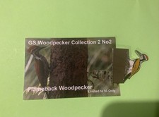 None RSPB badge. FLAME BACK WOODPECKER with  backing card