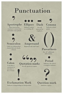 Punctuation Grammar and Writing Classroom Cool Wall Decor Art Print Poster 24x36