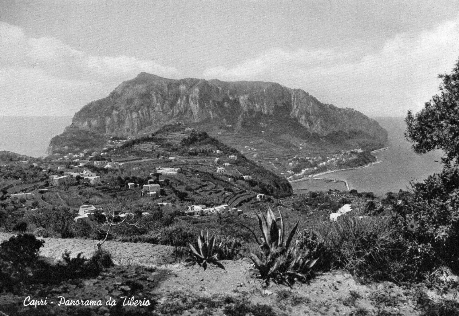 CAPRI PANORAMA DA TIBERIO VIAG.1954