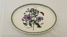 Portmeirion Botanic Garden Fire & Ice Oval Platter Plate Clematis 32cm x 23cm
