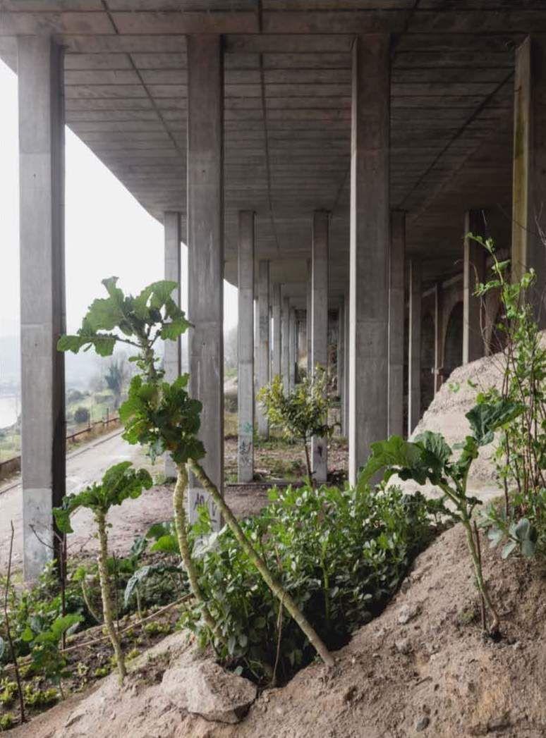 Notes From The Underdog / Anotações Sobre O Abaixo De Cão Alexandre