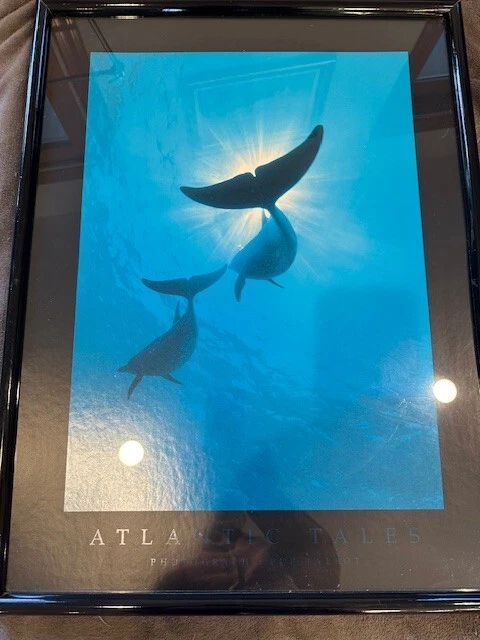 Bob Talbot 80s vintage poster 3種セット Bob Talbot 80s vintage poster 3種セット Bob Talbot 80s vintage