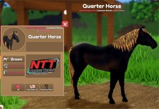 Wild Horse Islands - marrone, strisce di tigre, quarto di cavallo - IUH