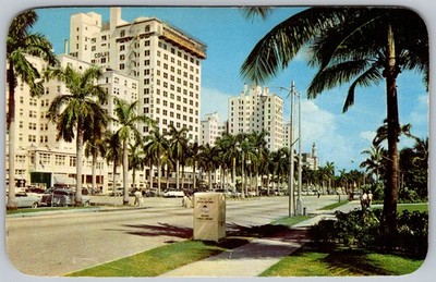 Vtg Postcard Biscayne Blvd Mcallister Columbus Colonial Hotels Miami, FL 1950s