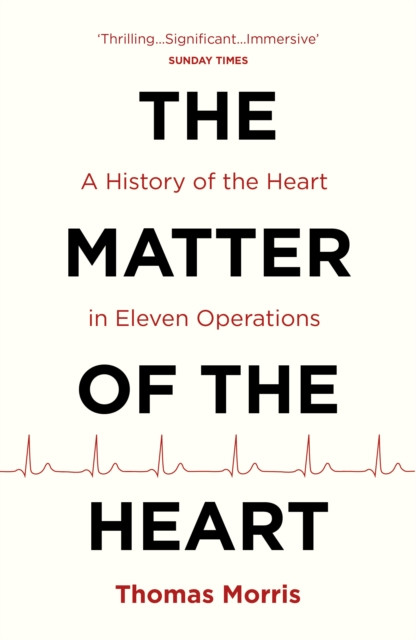 The Matter of the Heart by Thomas Morris (Paperback Book)